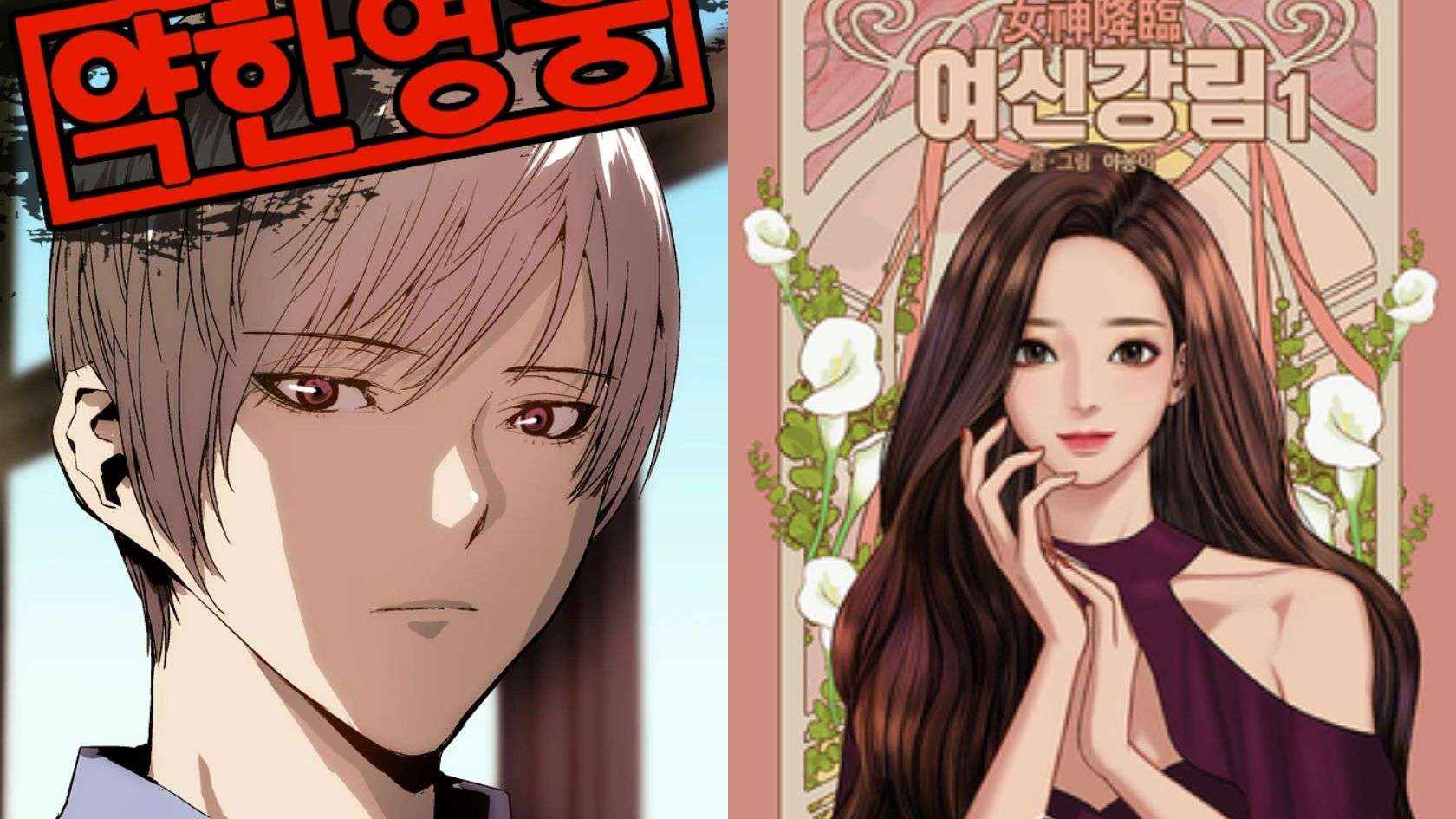 Duas capas de webtoons coreanos populares: à esquerda, um personagem masculino de cabelo prateado com expressão séria; à direita, uma jovem de cabelos longos e vestido vinho em pose elegante.
