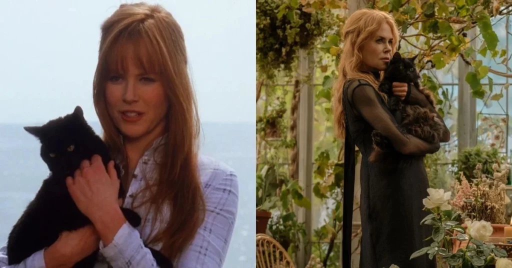 Nicole Kidman em cenas de Da Magia à Sedução em 1998 e na continuação de 2026 segurando um gato preto em momentos contrastantes